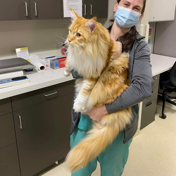 Naps are good! π¦ Foxy knows best π¦ - Picture 15 of 16